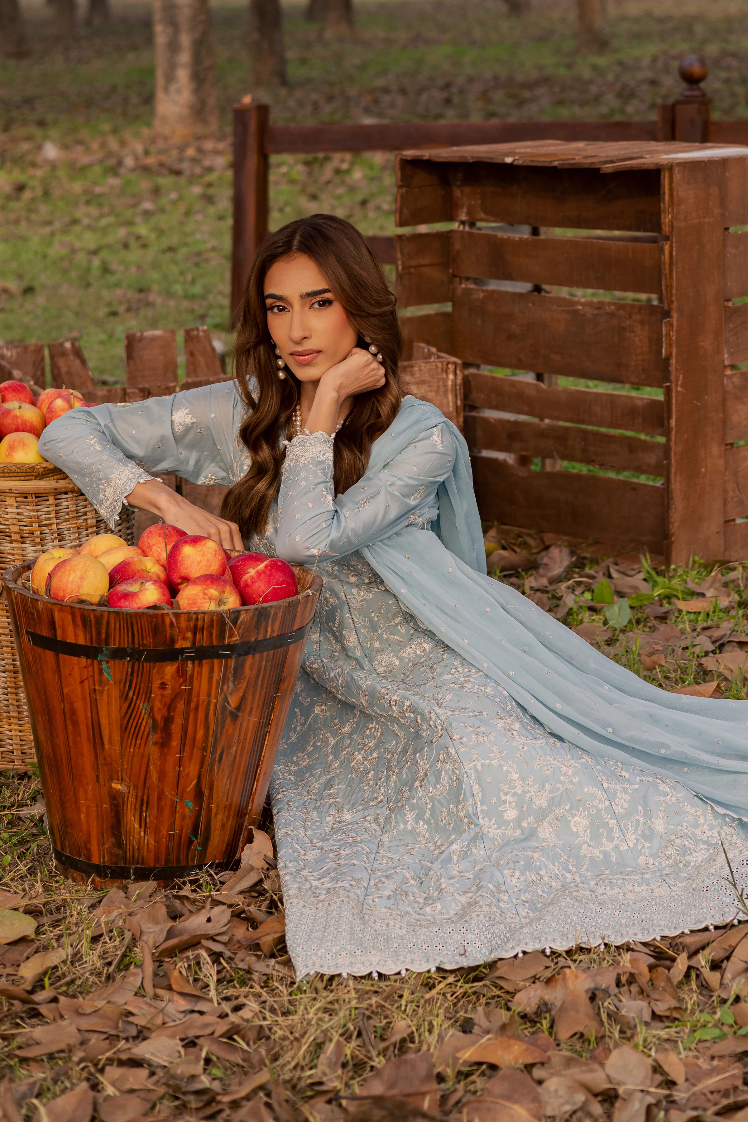 Nur Ray 3Pc - Festive Embroidered Lawn - Image 6